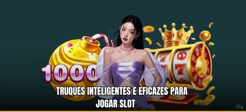 15q Provedores Premium